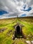 A ruined lead mine flue. Grassington moor.