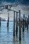 Ruined pier near Provincetown Mass USA with grungy boards and building and boat in background