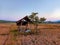 Ruined shack in the middle of rice field.