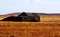 Ruined Shed near Yunta