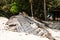 Ruined skeleton of an old boat on the shore of a tropical island