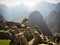 Ruined stone pyramids in the ancient Inca city Machu Picchu.