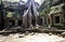 Ruined Temple, Cambodia