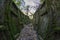 Ruined trenches in central europe. Old reinforced concrete German fortifications.