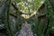 Ruined trenches in central europe. Old reinforced concrete German fortifications.