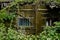 Ruins of 1960s` brick dwelling building covered with lichen and creepers