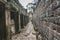 Ruins Of Abandon Temple - Angkor Wat