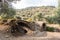 Ruins of Acharaca ancient site in Aydin, Turkey