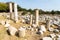 Ruins of Agora temple at the ancient Greek city Teos in Izmir province of Turkey