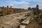 The ruins of the ancient ancient city of Hierapolis with columns, gates and graves in Pamukalle