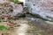 The ruins of an ancient brick building flooded with water