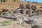 Ruins of the ancient city Ephesus, the ancient Greek city in Turkey