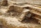 Ruins of ancient city Jericho in Israel