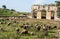 Ruins of ancient city of Patara. Turkey.