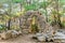 Ruins of the ancient city of Phaselis. Arched entrance to a ruined building. Historical landmark Phaselis - city of ancient Lycia