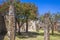 Ruins of the ancient city of Pompeii, Colonnade and gardens near the volcano Vizuvius, Pompei, Naples, Italy.