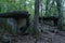 Ruins of ancient dolmens in the Zhane River valley in the North Caucasus