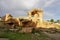 Ruins of ancient fortress city Dara with necropolis of East Roman Empire in Mardin, Turkey