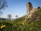 Ruins of ancient gothic castle Brnicko, Czech Republic, Europe. Old ruin with grass, flowers and sky in spring