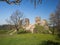 Ruins of ancient gothic castle Brnicko, Czech Republic, Europe. Old ruin with grass, flowers and sky in spring