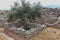 Ruins of the ancient Greek city Mycenae, Peloponnese