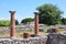 Ruins of ancient greek city Paestum, Italy.