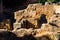 Ruins of the ancient necropolis of Kellah Chellah in the city of Rabat, Morocco