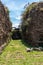 Ruins of ancient Roman Forum with greenery and birds in Rome, Italy