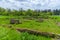 Ruins on ancient Roman town Nove near Svishtov, Bulgaria