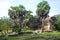 The ruins of the ancient Royal park Ranmasu Uyana in Anuradhapura