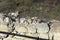 Ruins of Ancient sanctuary city Perperikon, Kardzhali Region, Bulgaria