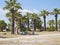 Ruins of the ancient temple columns, palm trees and blue sky