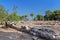 Ruins of ancient temple in Epidavros, Greece