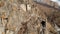 The ruins of ancient towers on a rock in the mountains of Upper Balkaria. Aerial view of the gorge with a dirt road and