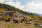 Ruins of the ancient town Antiochia ad Cragum