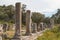 Ruins of the ancient town Iassos Iasos