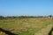 Ruins of the ancient Vaishali where Buddha used to stay during the rainy seasons. Kolhua ,Vaishali, Bihar