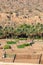 The ruins of an ancient village above date palms and farm fields in Oman
