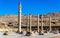 Ruins of Apadana Palace at Persepolis