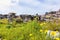 Ruins in the archaeological site of Eleusis, Attica, Greece