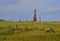 The ruins of barn tall Russian brick oven after fire stands alone in green field. Burnt oven with black pipe, foundation of house.