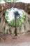 Ruins of the Baroque chapel of Saint Mary Magdalene