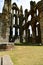 Ruins of a Benedictine abbey, located on the picturesque cliffs of Whitby