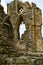 Ruins of a Benedictine abbey, located on the picturesque cliffs of Whitby