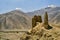 Ruins of buddhist shrines