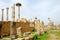 Ruins of the Capitol, Volubilis, Morocco