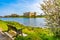 Ruins of Carew Castle by the lake with a banch and bloomed tree branches in the foreground in Pembrokeshire, Wales, UK