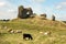 Ruins of the castle. Clonmacnoise. Ireland