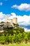 ruins of castle in Vaison-la-Romaine with vineyard, Provence, Fr