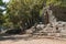 Ruins of a central ancient street in Phaselis ancient city in in Kemer region, Turkey